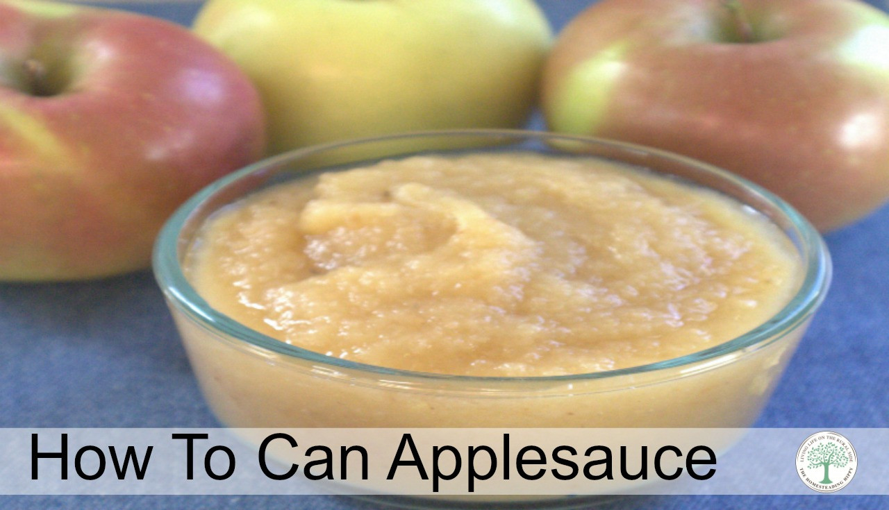 Can Dogs Have Applesauce
 How to Can Applesauce The Homesteading Hippy