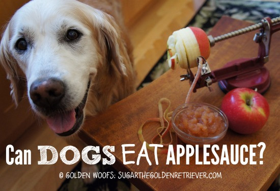 Can Dogs Have Applesauce
 Make Your Own Dog Safe Applesauce Golden Woofs