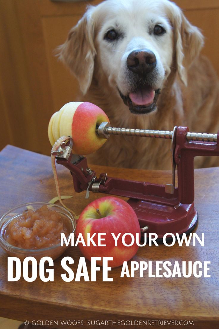 Can Dogs Have Applesauce
 699 Best images about dog treats on Pinterest