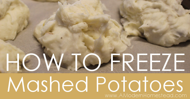 Can I Freeze Mashed Potatoes
 How To Freeze Mashed Potatoes