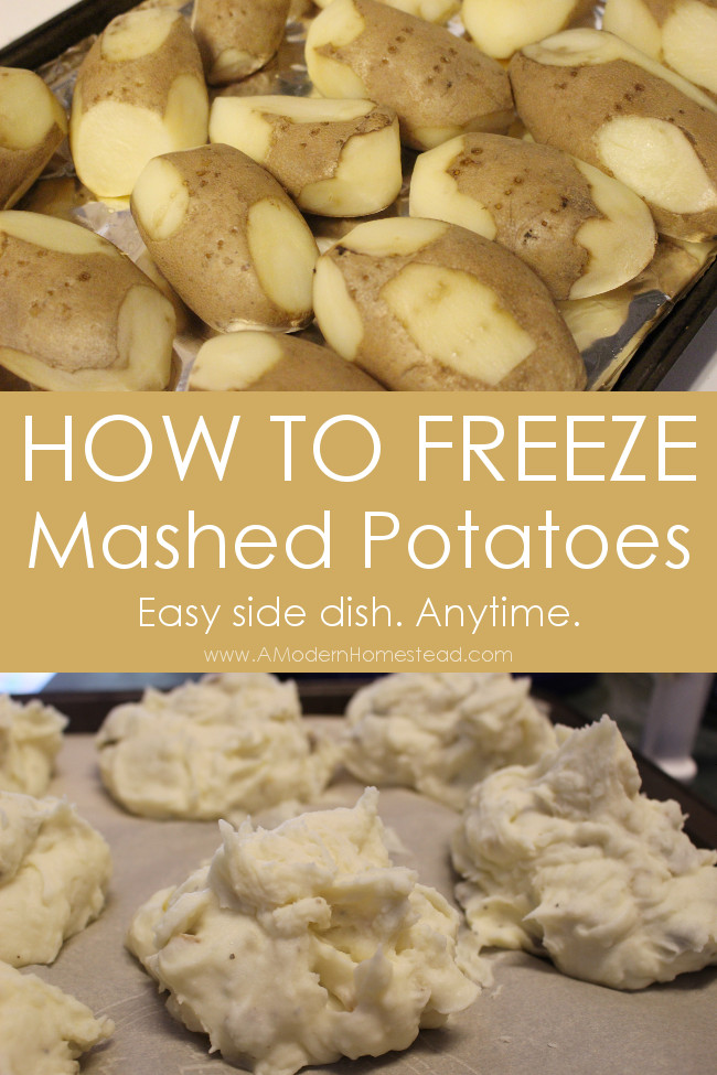 Can I Freeze Mashed Potatoes
 How To Freeze Mashed Potatoes