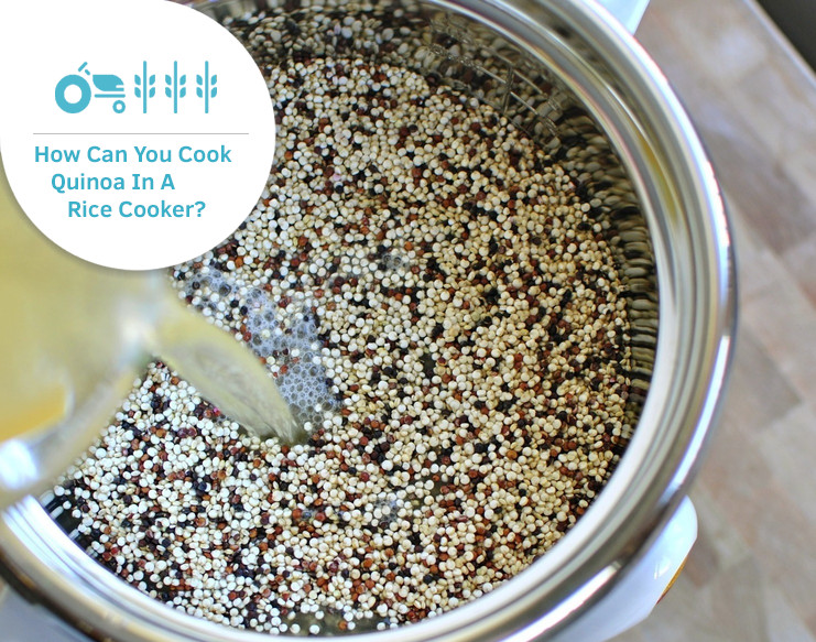 Can You Cook Quinoa In A Rice Cooker
 how can you cook quinoa in a rice cooker Gluten Insight