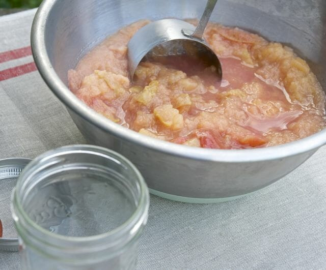 Can You Freeze Applesauce
 skins on applesauce to freeze can and share A Way To