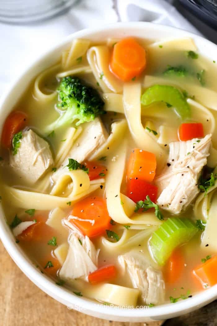 Can You Freeze Chicken Noodle Soup
 Homemade Chicken Noodle Soup Spend With Pennies