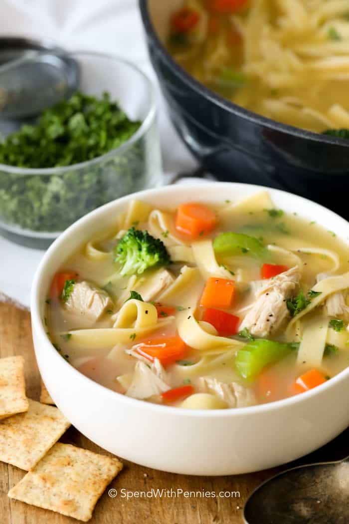 Can You Freeze Chicken Noodle Soup
 Homemade Chicken Noodle Soup Spend With Pennies