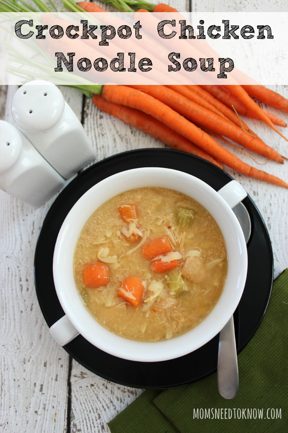 Can You Freeze Chicken Noodle Soup
 Crockpot Chicken Noodle Soup Recipe