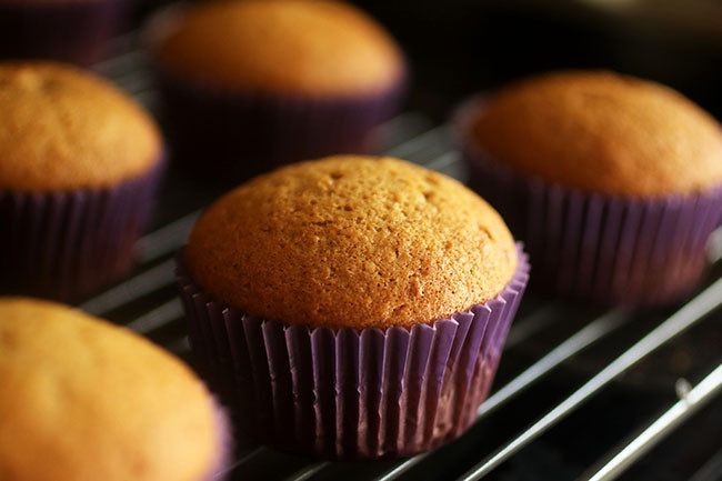 Can You Freeze Cupcakes
 Cupcakes 104 How to Store and Freeze Cupcakes