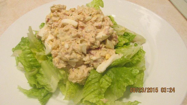 Can You Freeze Macaroni Salad
 can you freeze tuna salad with miracle whip