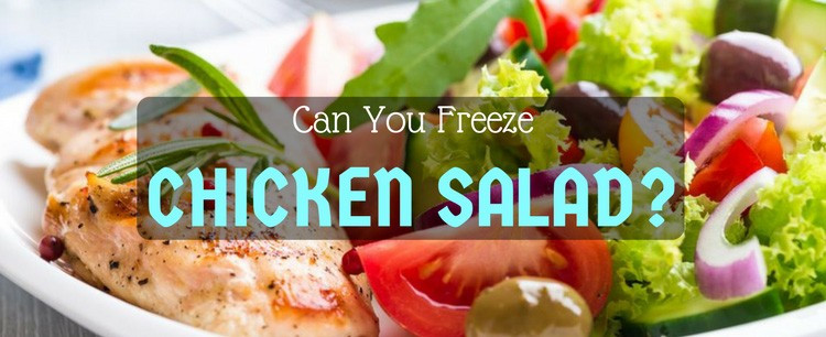 Can You Freeze Macaroni Salad
 Can You Freeze Chicken Salad Perfect Ways For Practical Minds