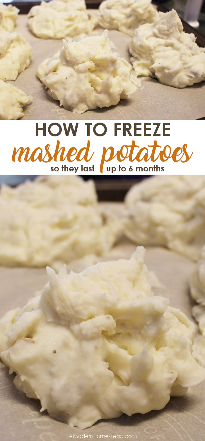 Can You Freeze Mashed Potatoes
 How To Freeze Mashed Potatoes