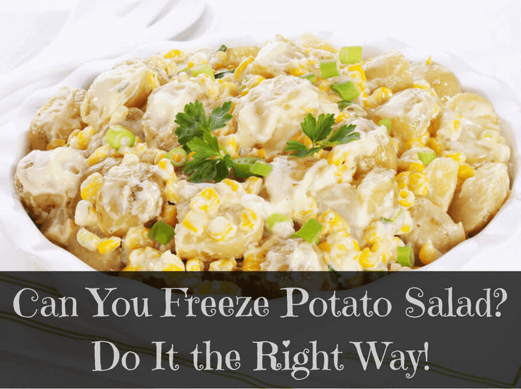 Can You Freeze Potato Salad
 Can You Freeze Potato Salad Yes Just Do it the Right Way