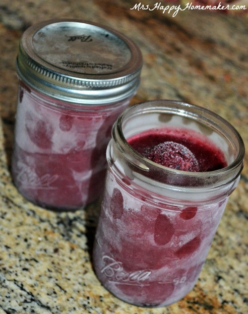 Can You Freeze Smoothies
 Mason Jar Freezer Smoothies Mrs Happy Homemaker