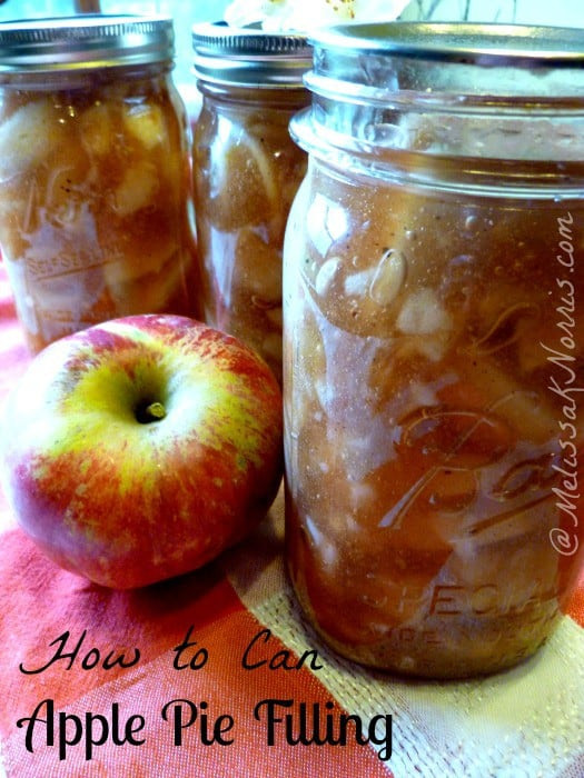 Canned Apple Pie Filling
 How To Preserve Food 22 Surprising Foods You May Not