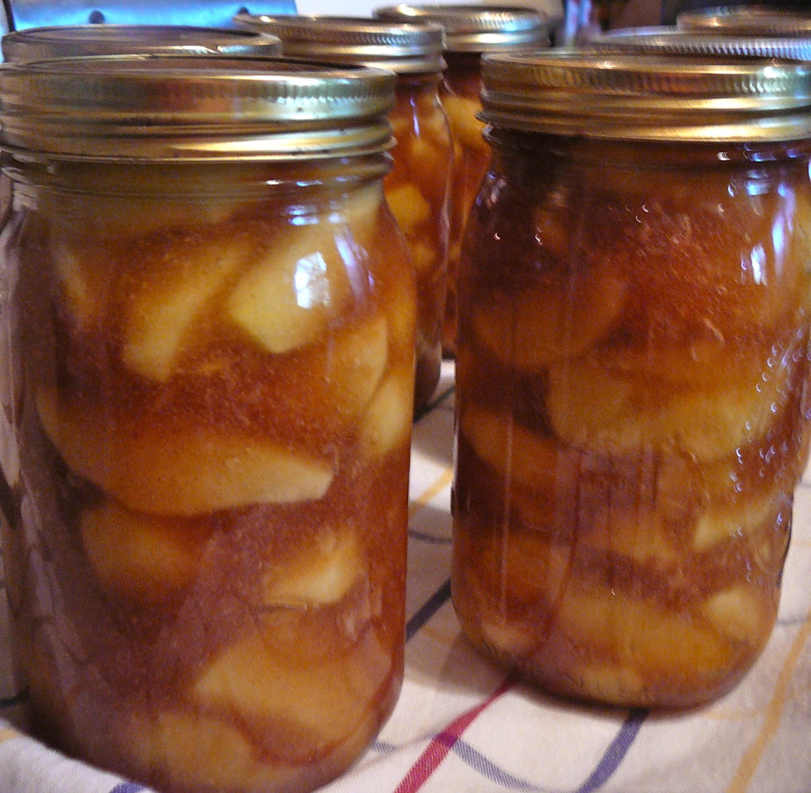 apple crumb pie with canned filling