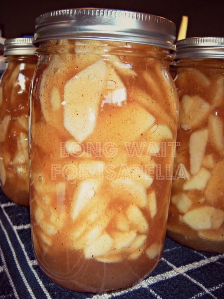 Canned Apple Pie Filling
 Apple Pie Filling Long Wait For Isabella