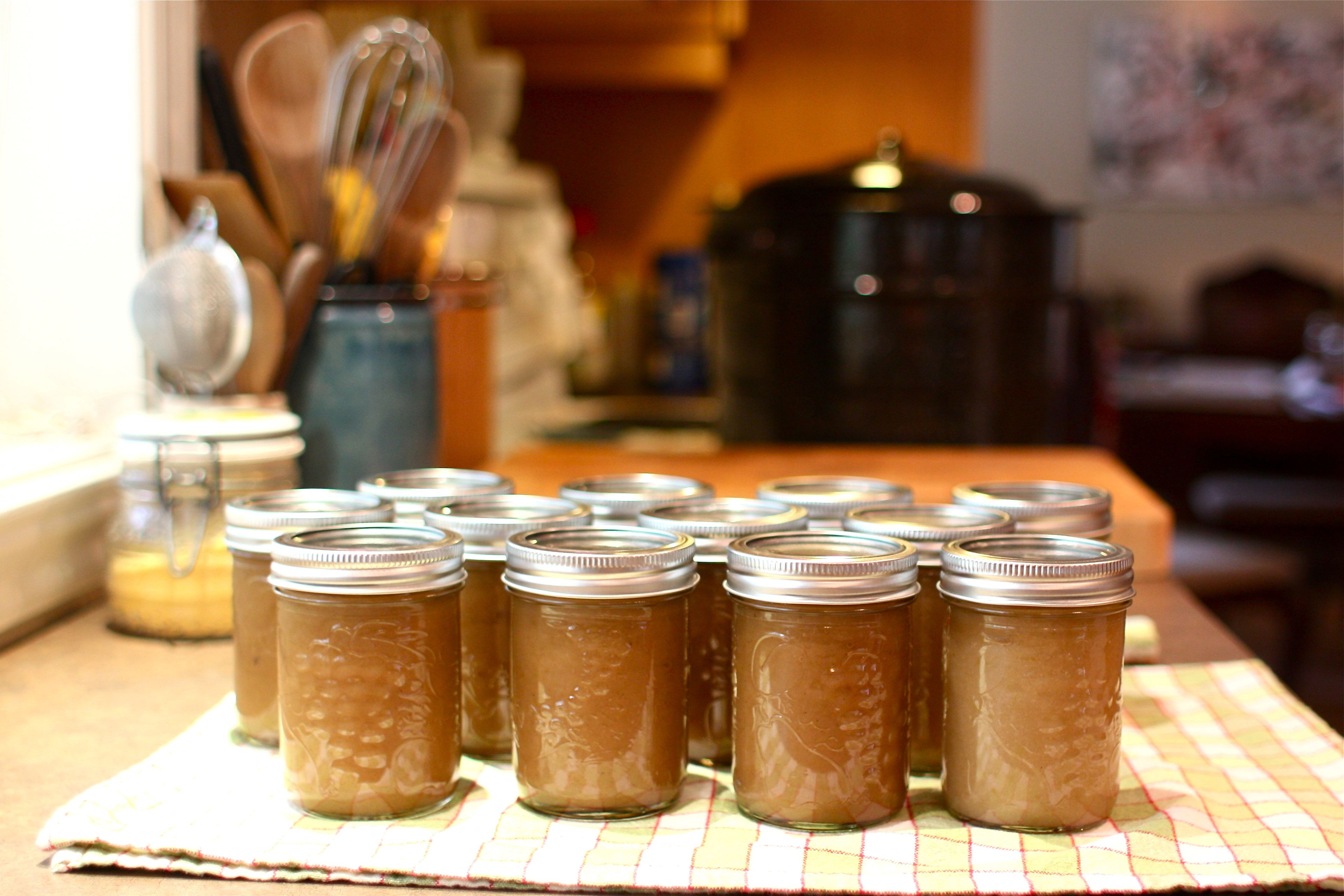 Canning Applesauce Recipe
 Preserving Autumn Classic Applesauce Recipe