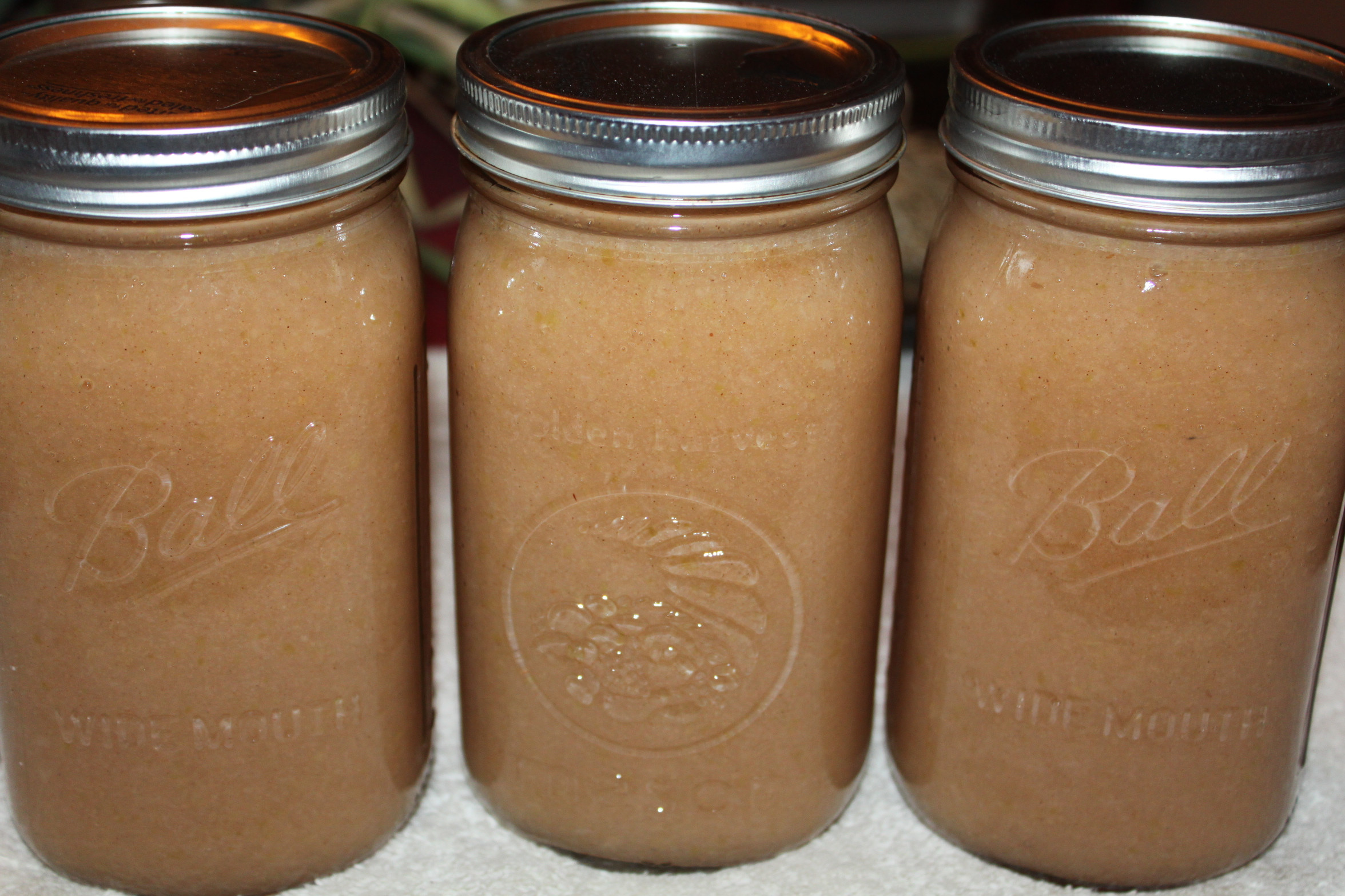 Canning Applesauce Recipe
 The Secrets to Canning Apple Sauce – Recipe of the Week