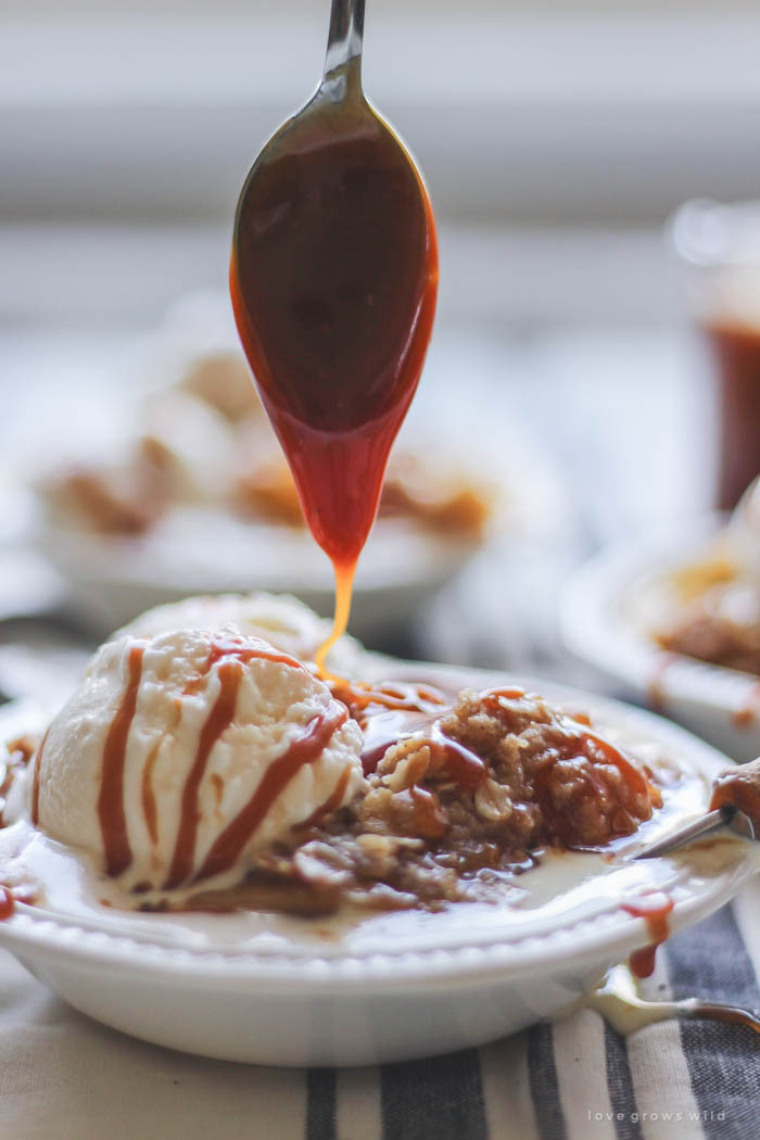 Caramel Apple Dessert
 Salted Caramel Apple Crisp Love Grows Wild