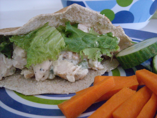 Carbs In Chicken Salad
 Low Carb Chicken Salad Recipe Food