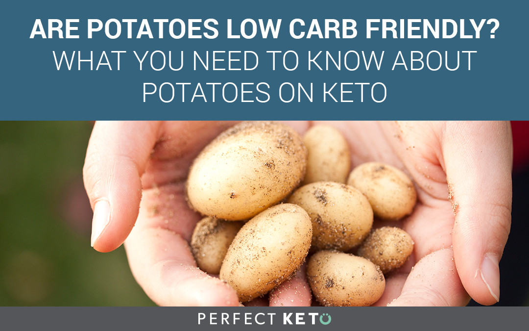 Carbs In Potato
 Carbs in Potatoes Do Potatoes Fit in a Ketogenic Diet