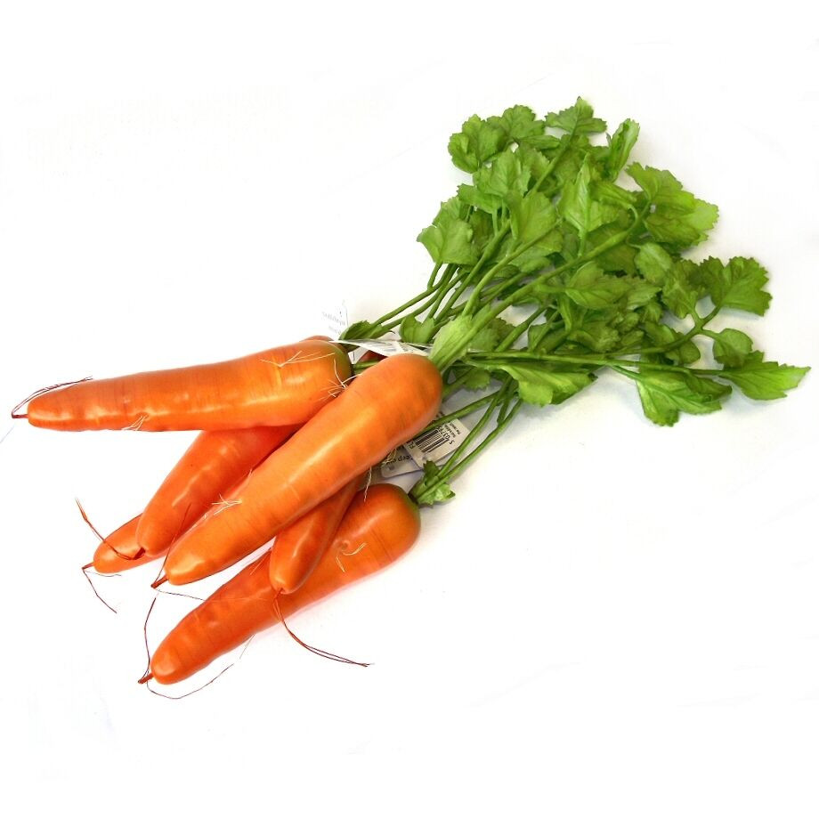 Carrot Fruit Or Vegetable
 Bunch of 6 Artificial Carrots Plastic Ve ables Stage