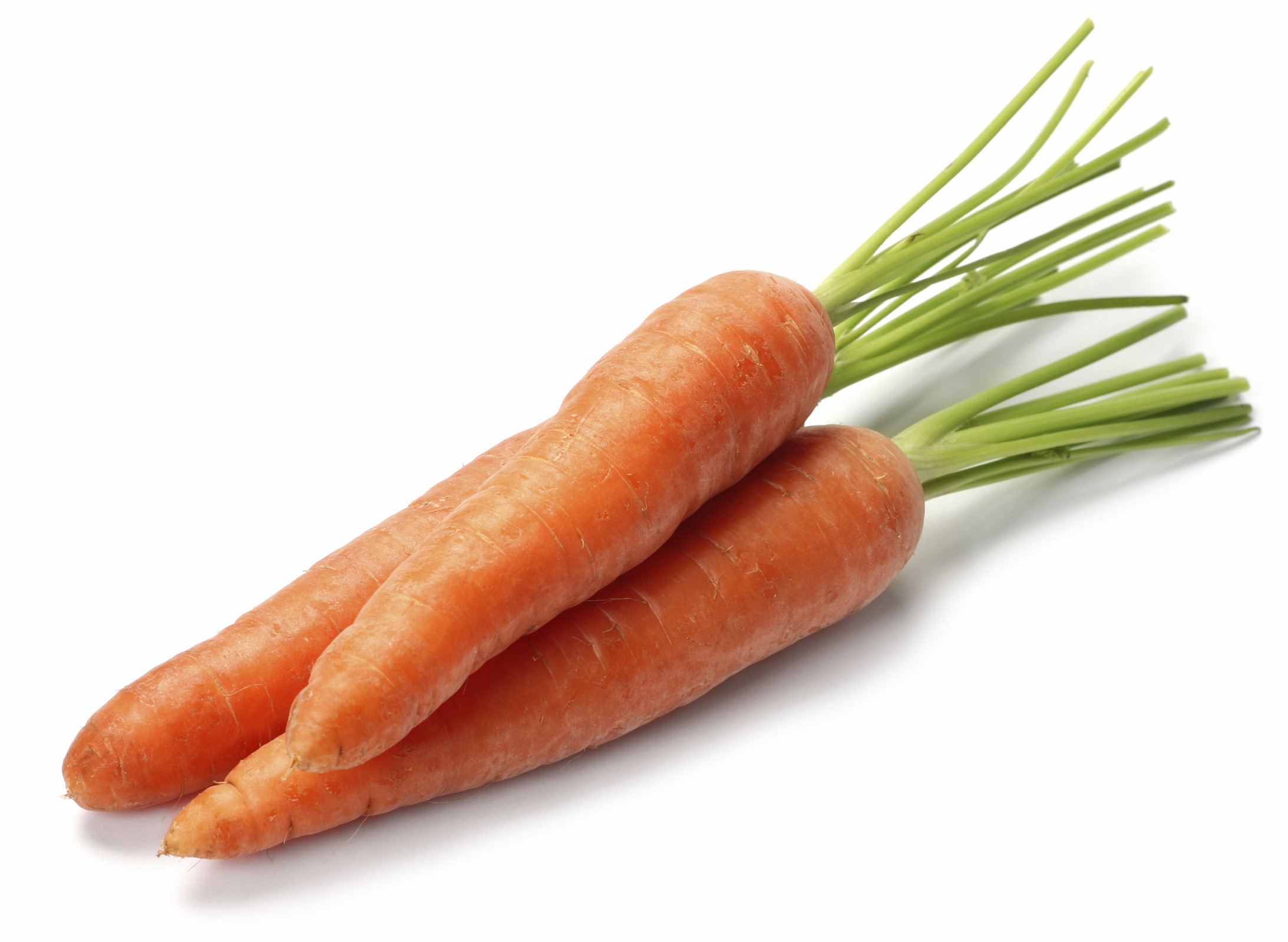 Carrot Fruit Or Vegetable
 Boost the Bottom Line with Carrots