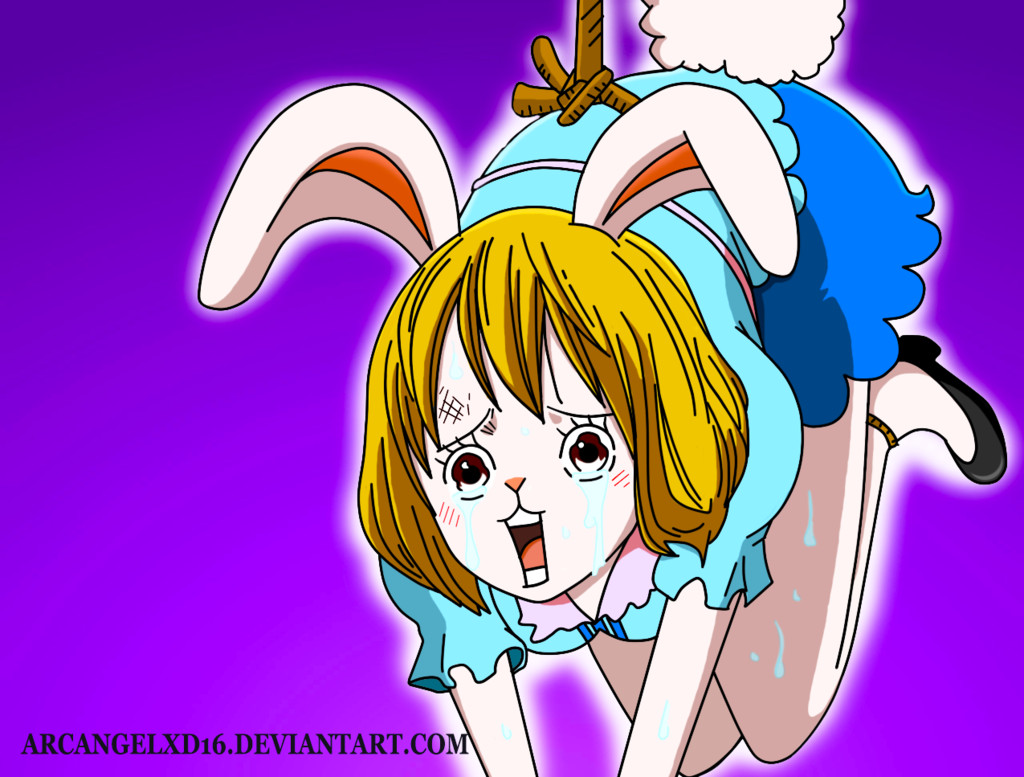 Carrot One Piece
 Carrot e Piece by arcangelxd16 on DeviantArt