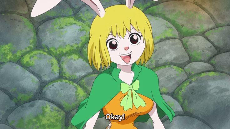 Carrot One Piece
 Carrot e Piece Episode 775