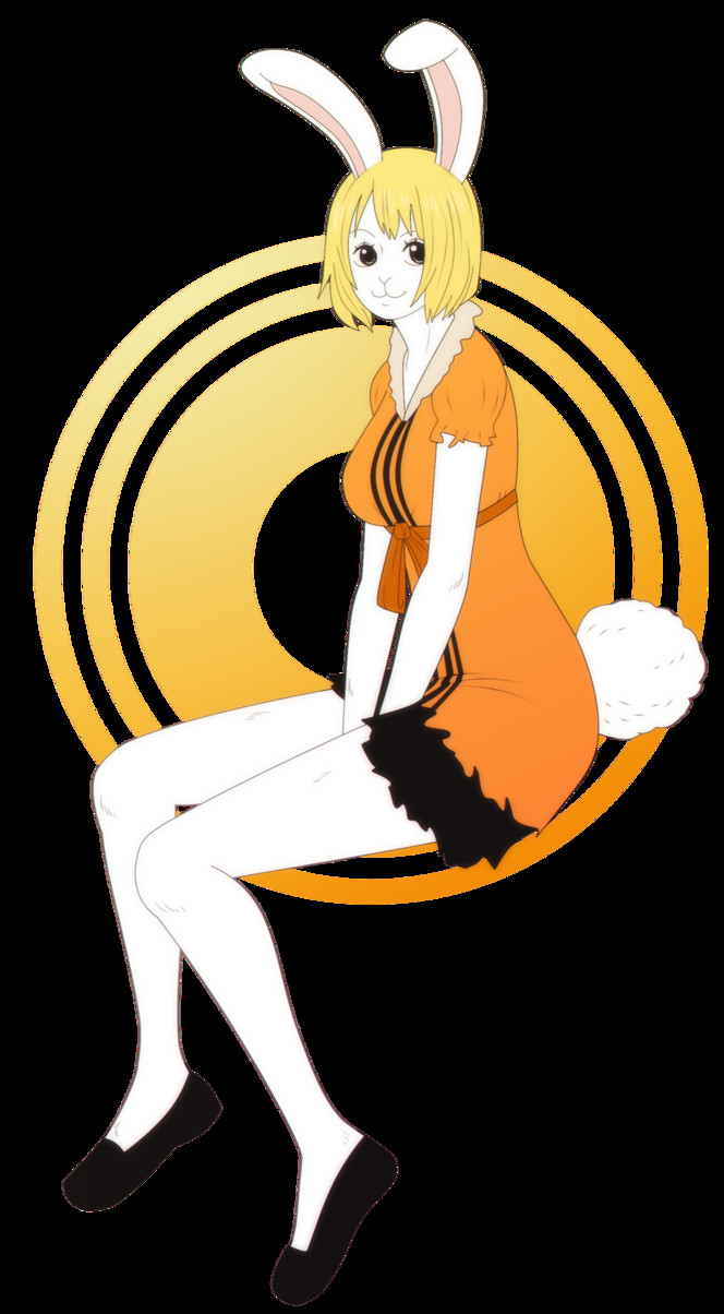 Carrot One Piece
 OP Carrot by Kaschra on DeviantArt