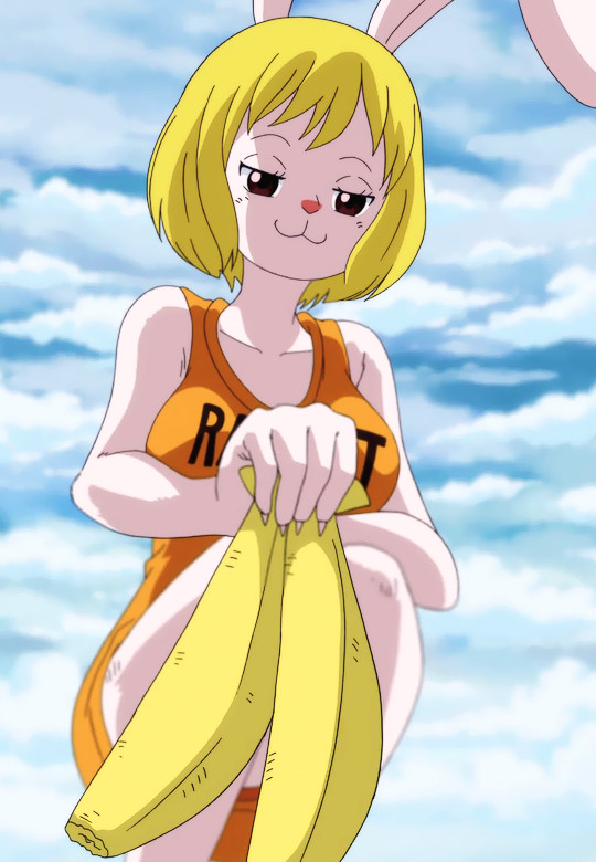 Carrot One Piece Hentai
 Image Carrot Stitched Cap e Piece Ep 779
