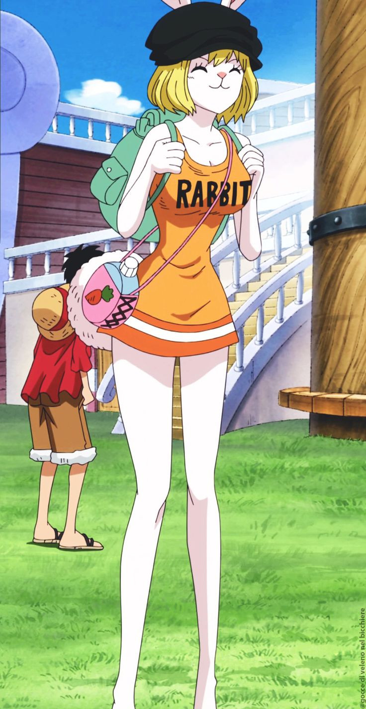 Carrot One Piece Hentai
 287 best images about e Piece on Pinterest
