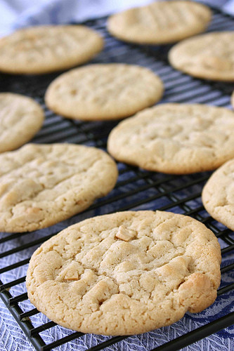 Cashew Butter Cookies
 Easy Cashew Butter Cookie with Sea Salt Recipe Cookin Canuck