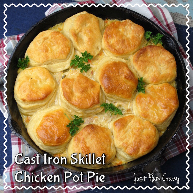 Cast Iron Chicken Pot Pie
 Cast Iron Skillet Chicken Pot Pie Recipe