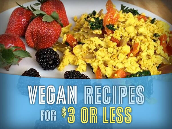Cheap Vegan Recipes
 Save Money With These 20 Vegan Recipes Under $3 – Vegan