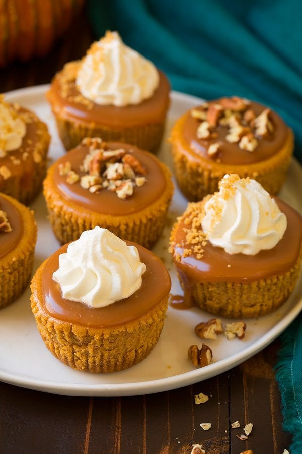 Cheesecake Cupcake Recipe
 Pumpkin Cheesecake Cupcakes with Salted Caramel Sauce