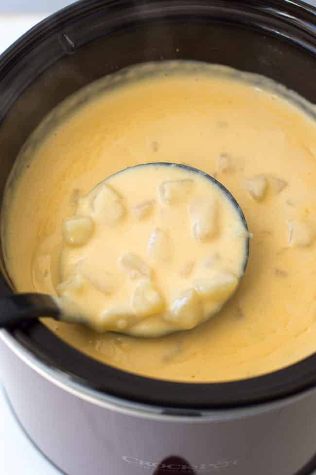 Cheesy Potato Soup
 Crock Pot Cheesy Potato Soup Recipe