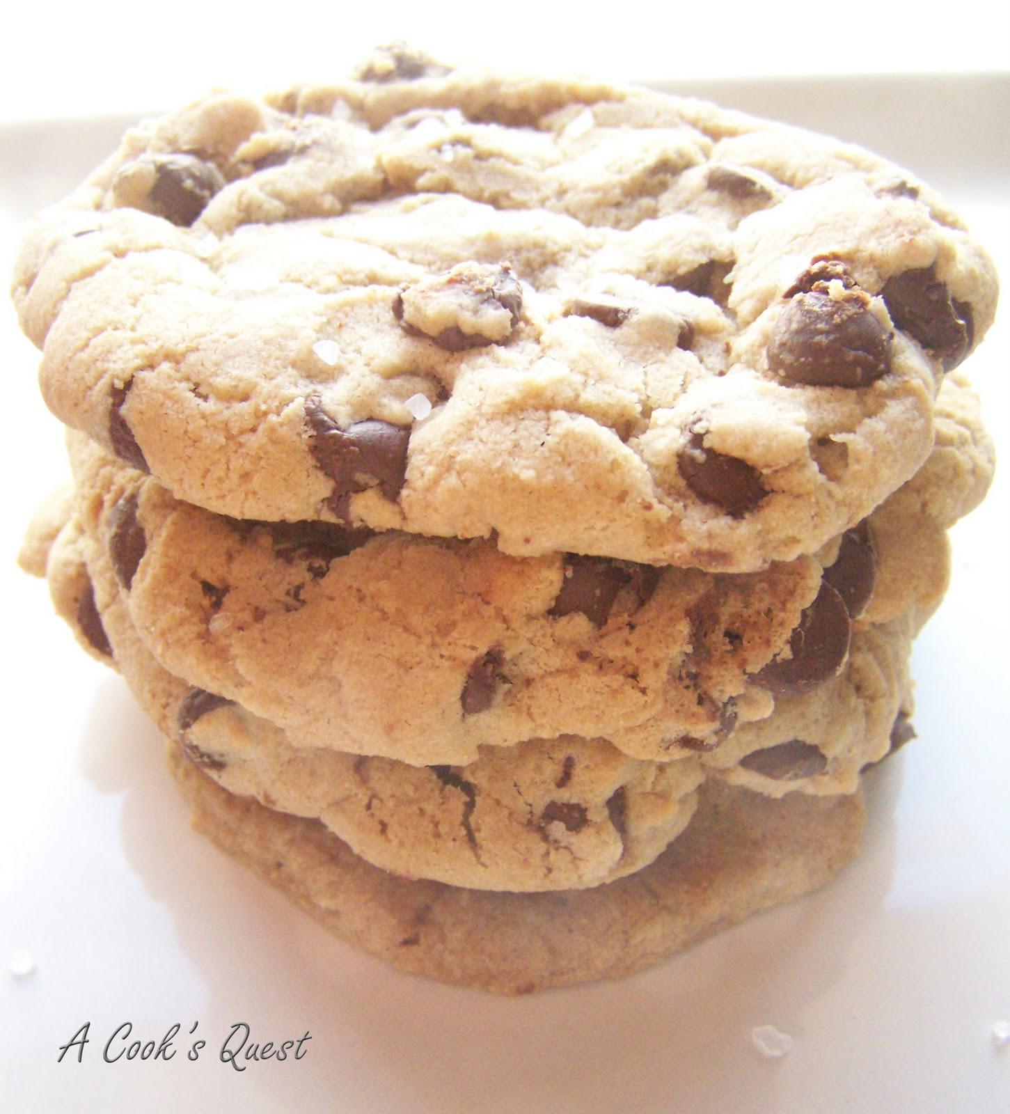 Chewy Chocolate Chip Cookies Recipe
 A Cook s Quest Thick and Chewy Chocolate Chip Cookies