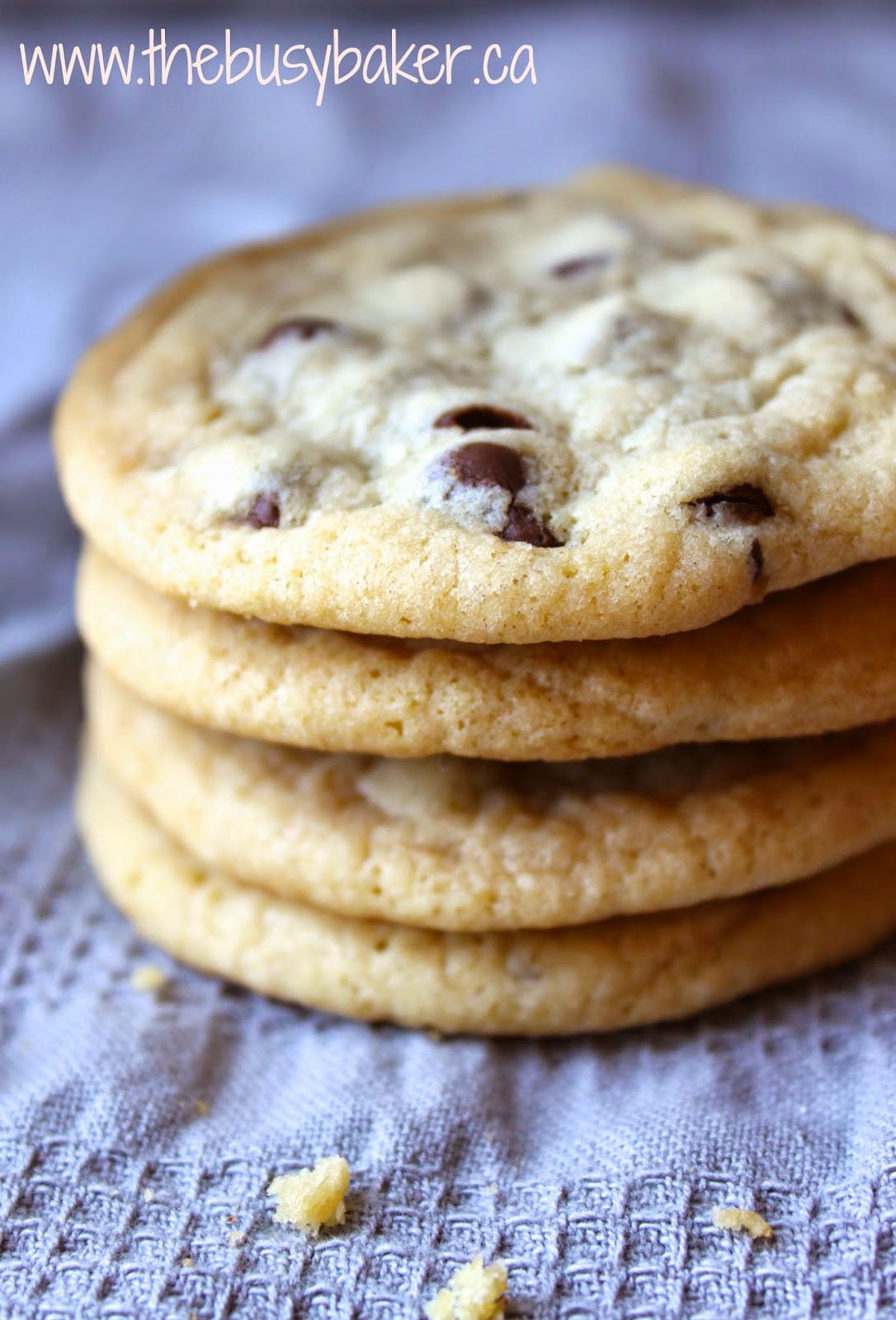 Chewy Chocolate Chip Cookies Recipe
 Chewy Chocolate Chip Cookies The Busy Baker