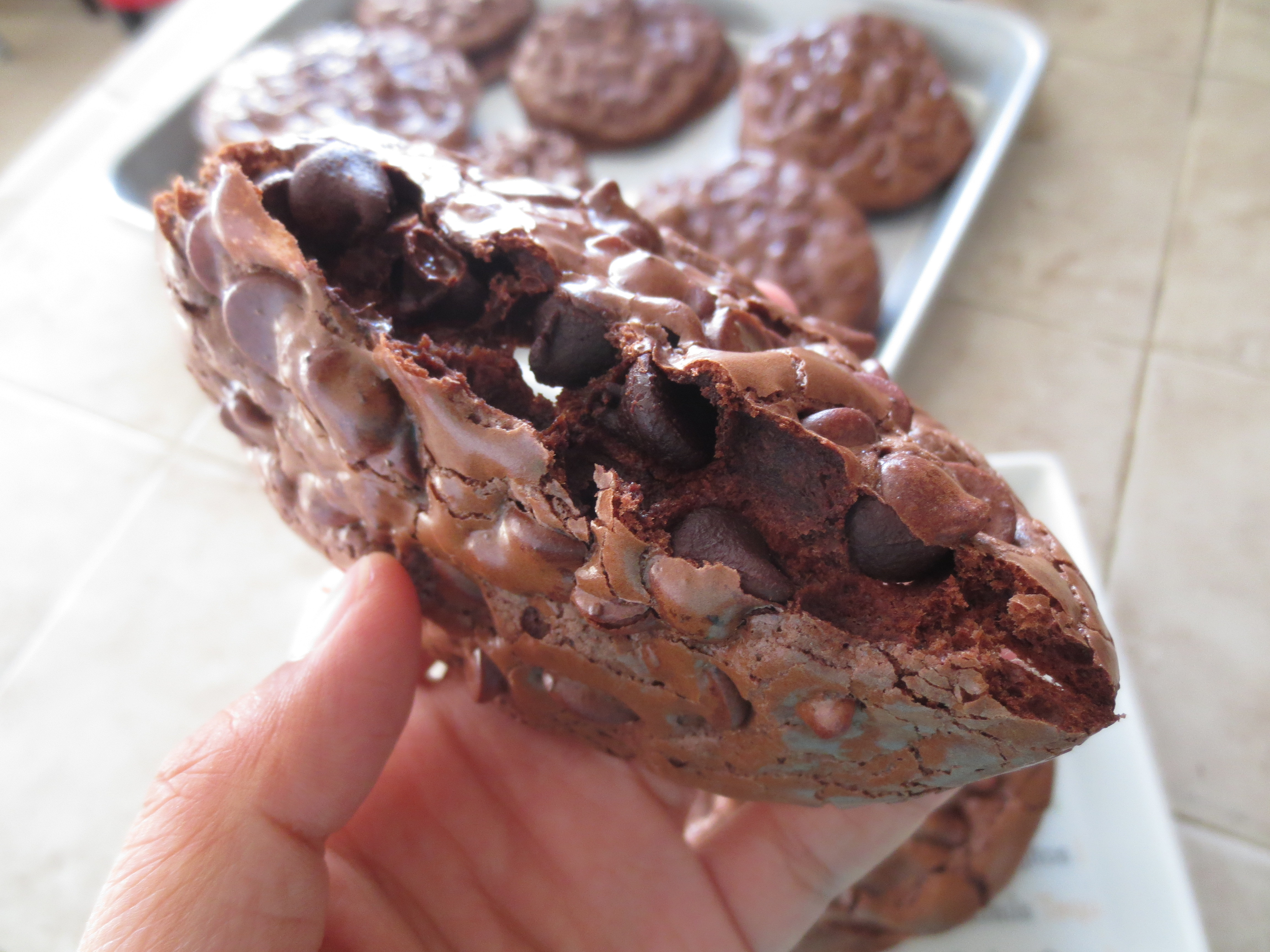 Chewy Chocolate Cookies
 Flourless Chewy Chocolate Cookies