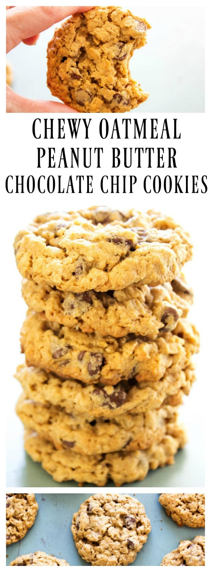 Chewy Peanut Butter Oatmeal Cookies
 CHEWY OATMEAL PEANUT BUTTER CHOCOLATE CHIP COOKIES A