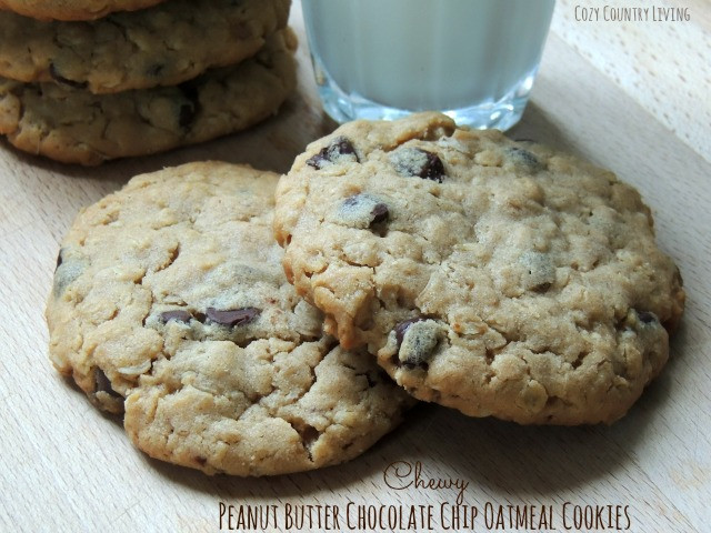 Chewy Peanut Butter Oatmeal Cookies
 Chewy Peanut Butter Chocolate Chip Oatmeal Cookies