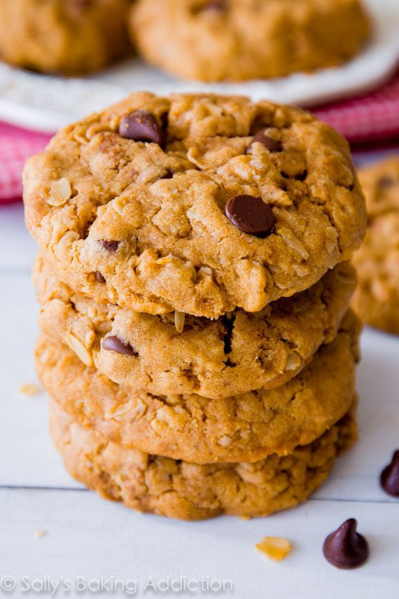 Chewy Peanut Butter Oatmeal Cookies
 Flourless Peanut Butter Oatmeal Cookies Sallys Baking