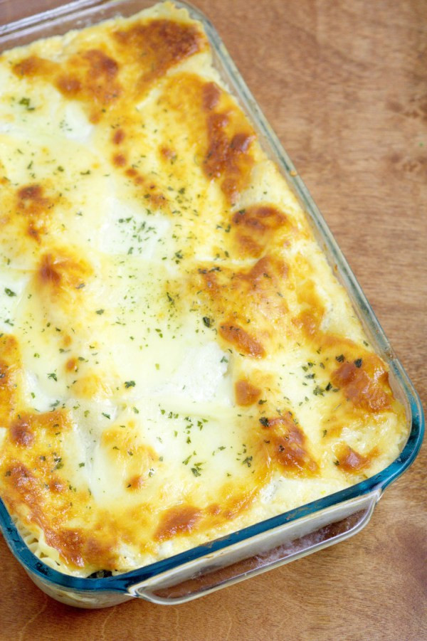 Chicken Alfredo Lasagna
 25 Lasagna recipes