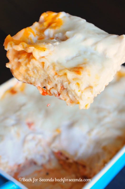 Chicken Alfredo Lasagna
 Easy Chicken Alfredo Lasagna Back for Seconds