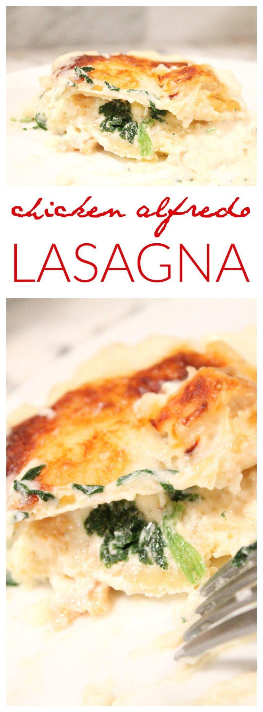 Chicken Alfredo Lasagna
 Chicken Alfredo Lasagna Recipe