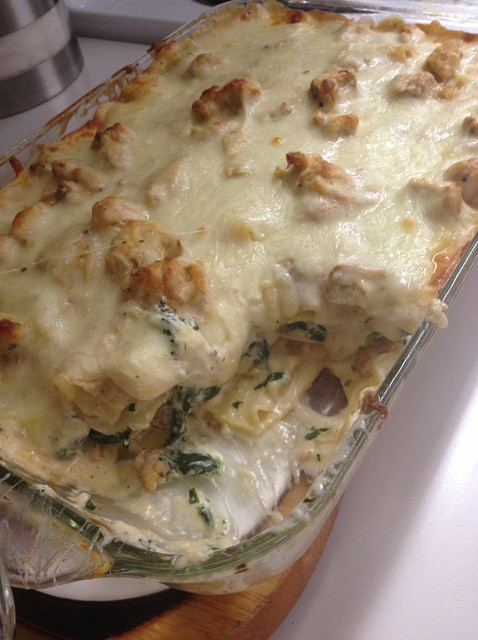 Chicken Alfredo Lasagna
 How to Chicken Alfredo Lasagna Recipe Snapguide