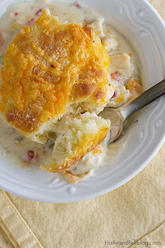 Chicken And Biscuit Recipe
 Creamy Chicken and Biscuits Taste and Tell
