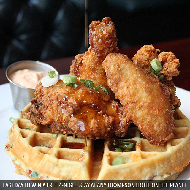 Chicken And Waffles Nyc
 Thompson Diner TasteToronto