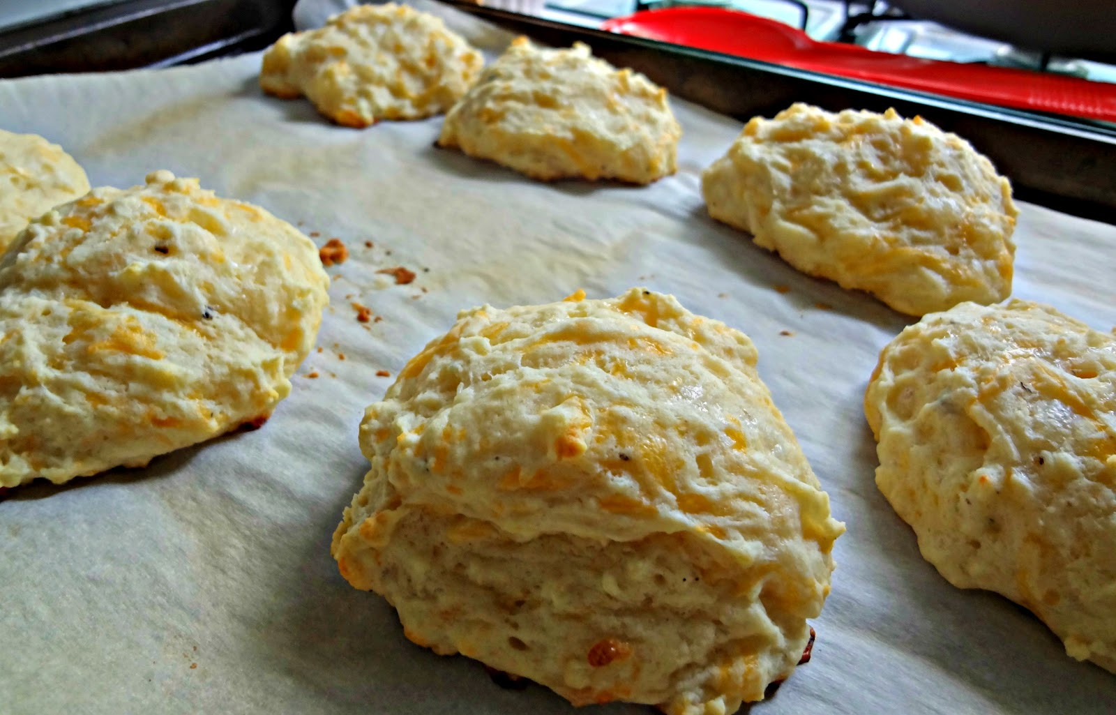 Chicken Biscuit Crackers
 The Cooking Actress Chicken and Biscuits