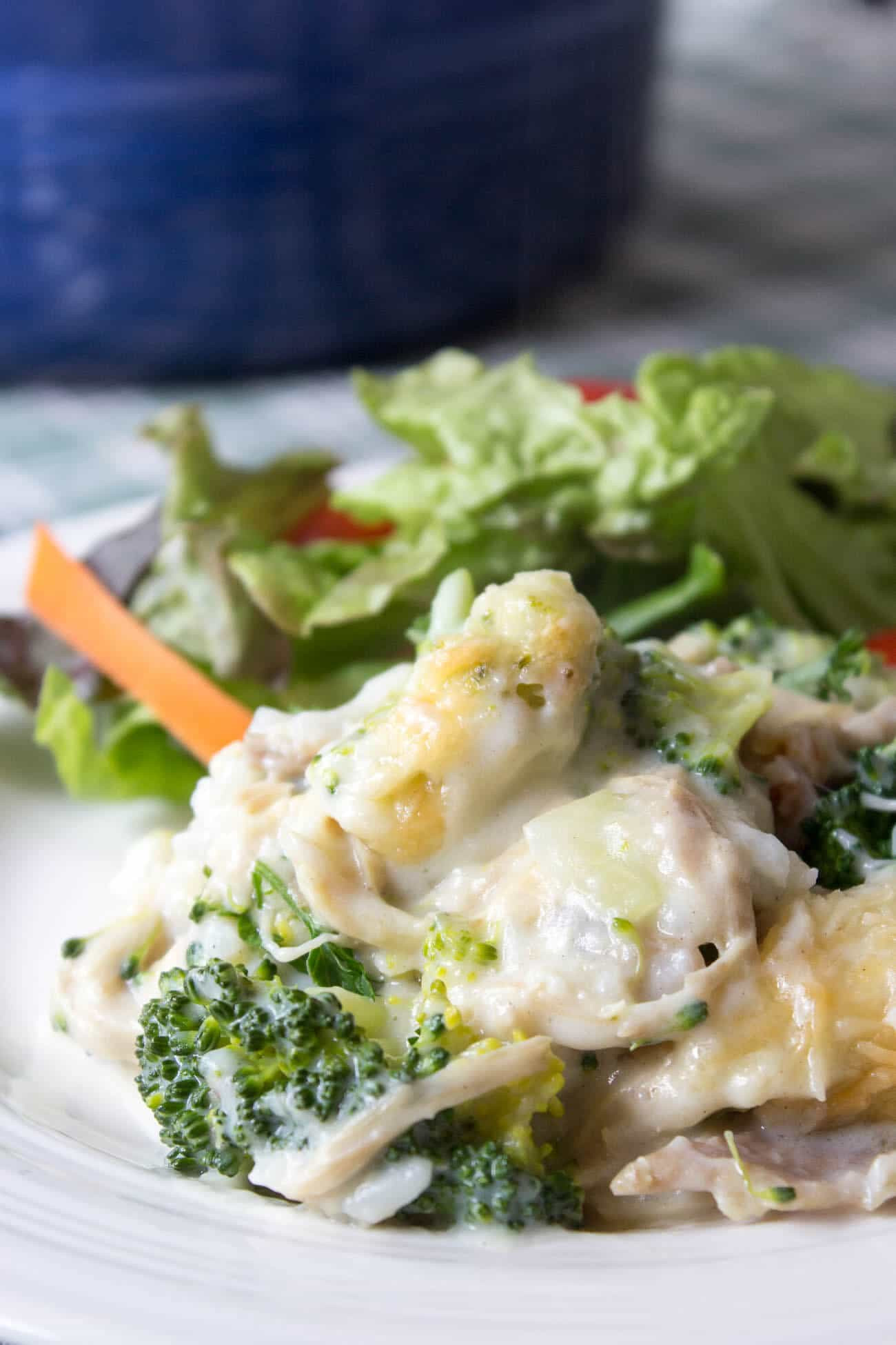 Chicken Broccoli And Rice
 Chicken Broccoli and Rice Beyond The Chicken Coop